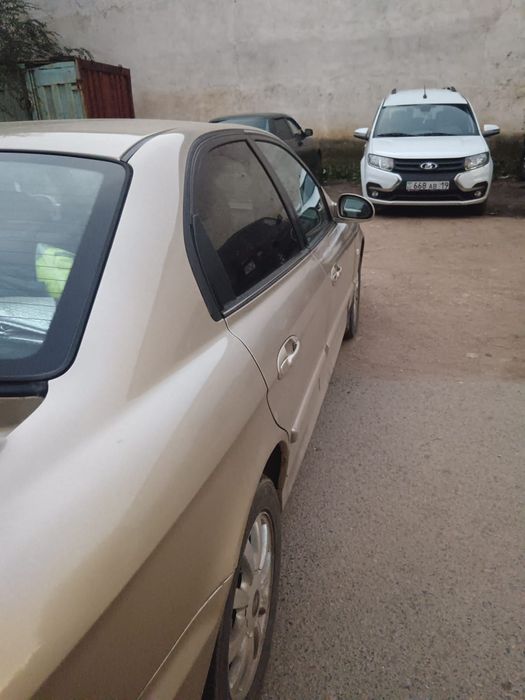 Соната 2004 года газ-бензин