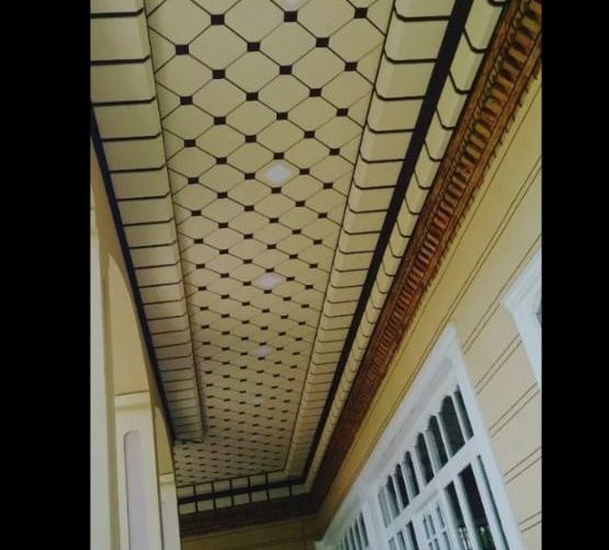 Потолок карнизы туникафон