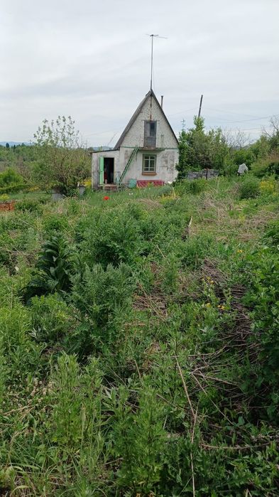 Продается дача в С/О Залив-1