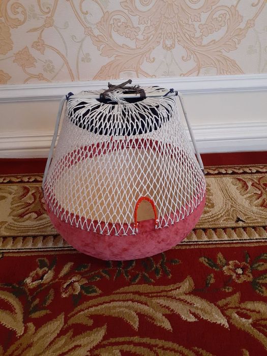 Бедана солишга тўрқовоқ 50000 дан 100000 гача..