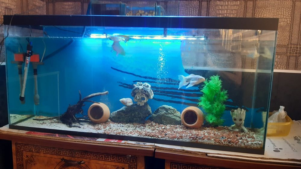 Akvarium 300L sotiladi