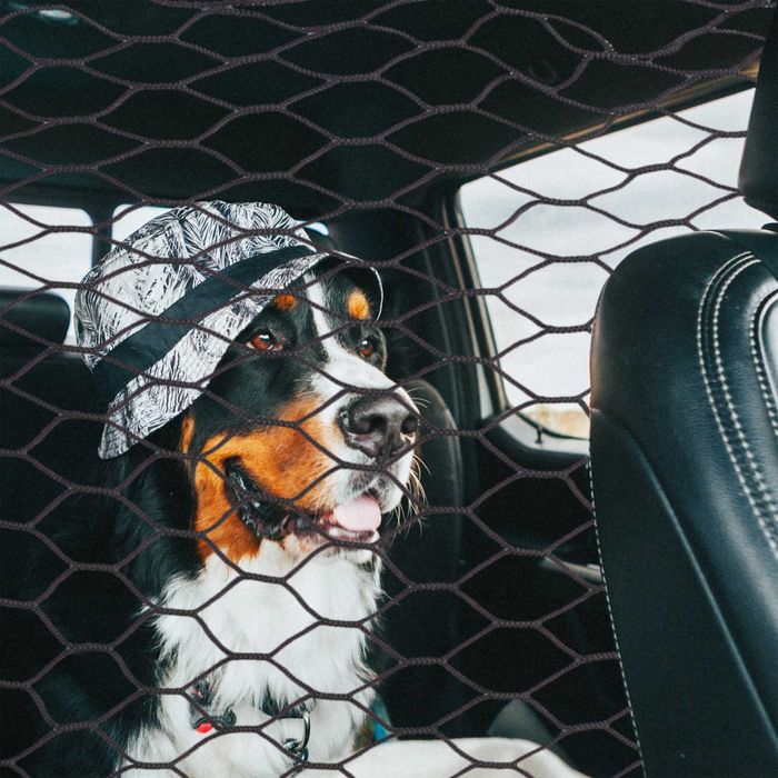 Plasa despartitoare auto carlige si accesorii incluse 100x100 cm