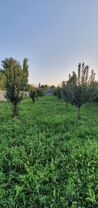 Продается Участок в таваксае