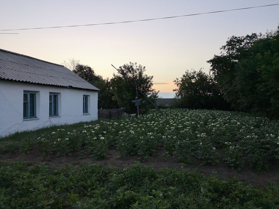 Продам дом с очень большим земельным участком - Daha fazla