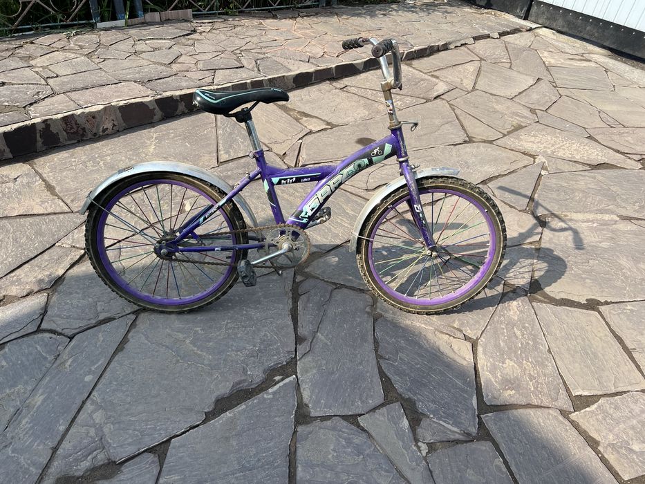 Велосипед типа «пионер»