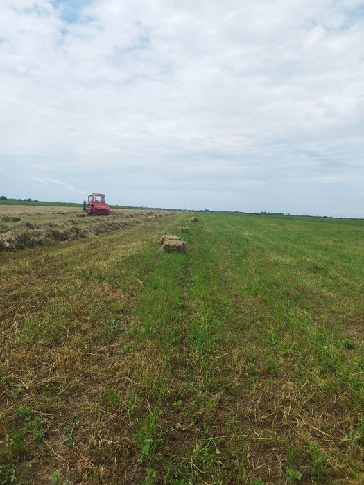 Vand baloti de lucerna amestecati cu ovăz