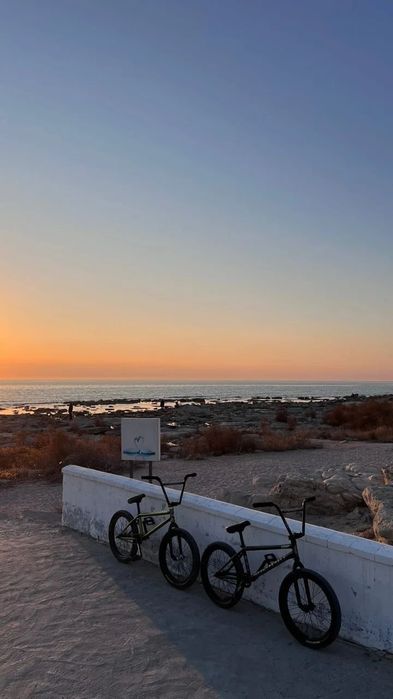 Trick bike BMX WTP TRUST