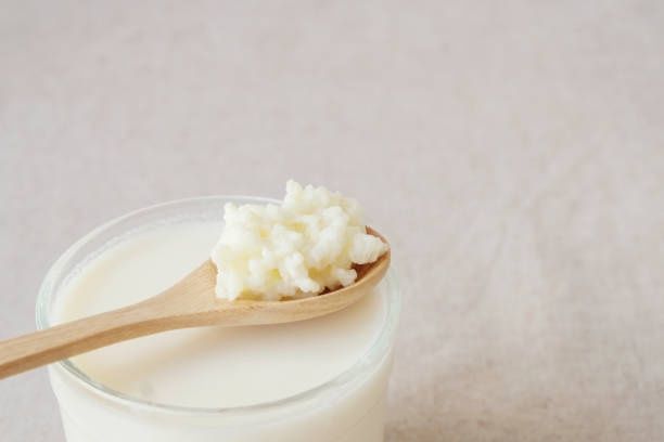 Vând ciupercă tibetană kefir lapte
