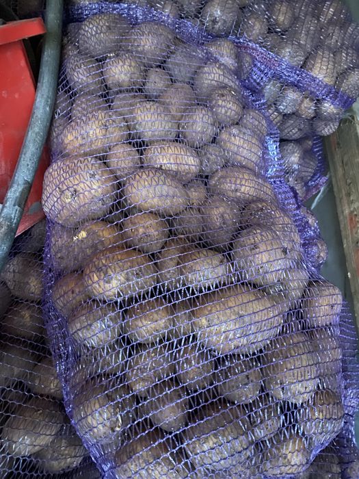 Продам картофель 80 тг/кг