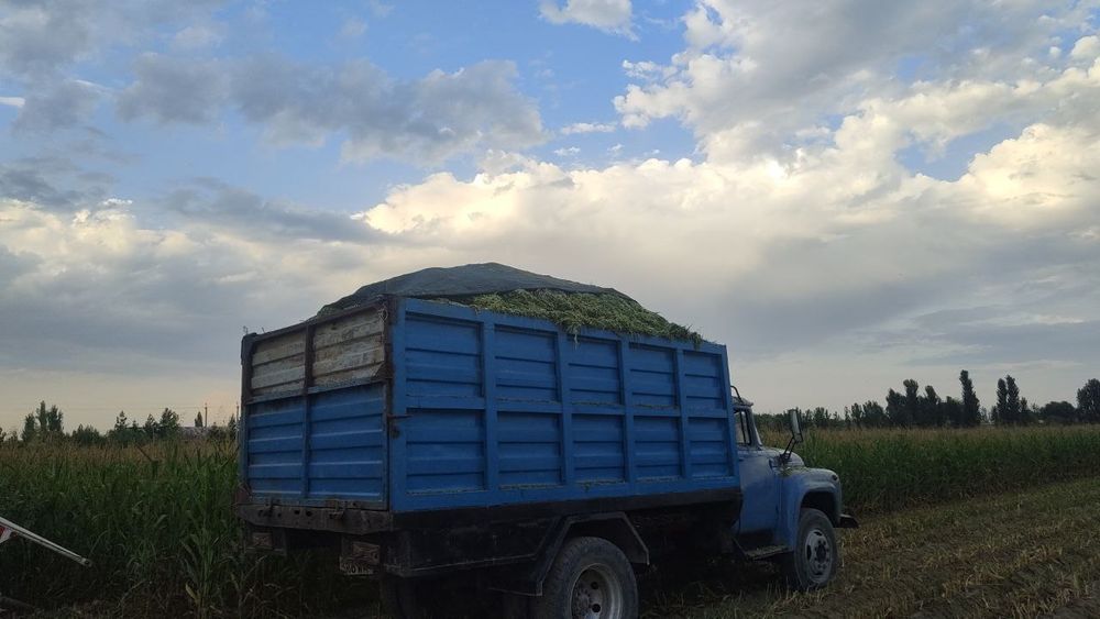 Ассалому алекум зил сотилади сомасвал 1980 йил