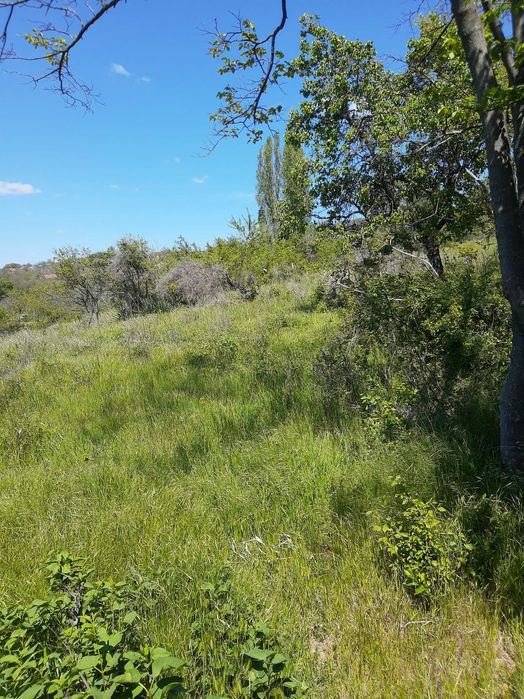 Продава се Парцел в Варна, Базар Левски - 2107 кв.м за 99 €/кв.м - Снимка #12