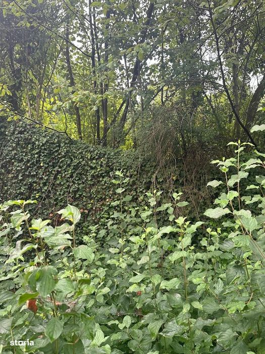 De vanzare teren cu casa de renovat Dej central