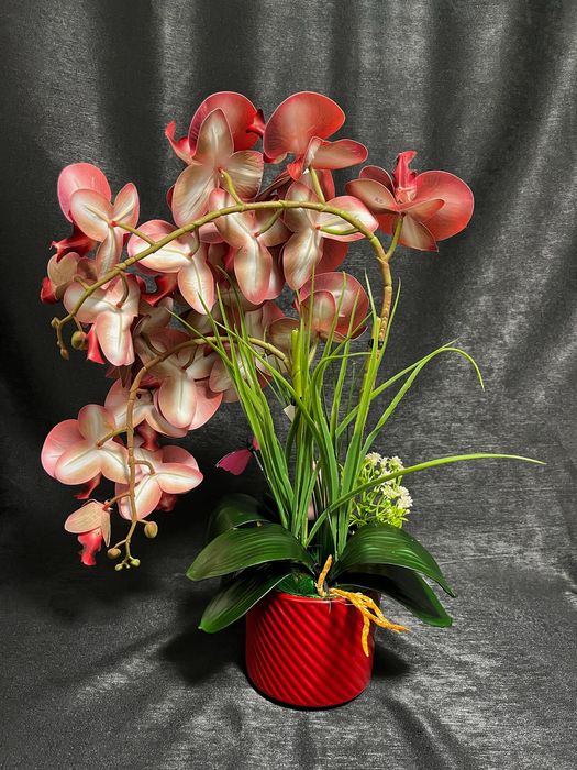 Aranjament de orhidee premium