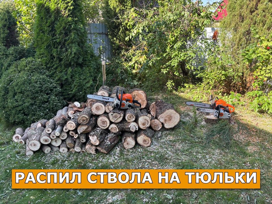 Спил деревьев / обрезка деревьев / кронирование