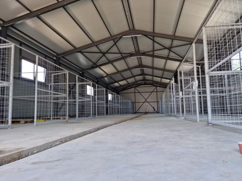 Hala metalica panouri sandwich