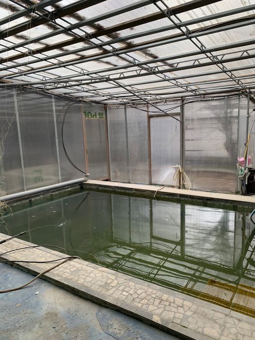 ПРОДАЁТСЯ Участок Сампи 6- соток, вторая линия 240000!