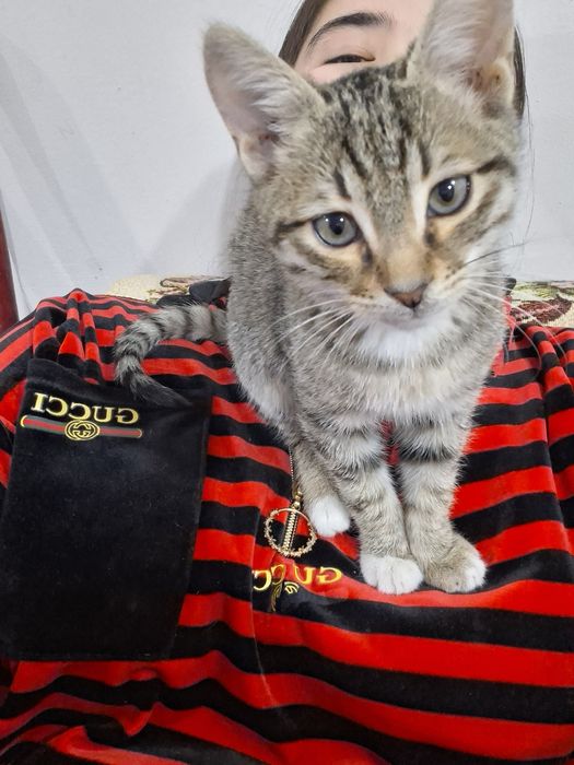 От дам добрые руки очень послушные