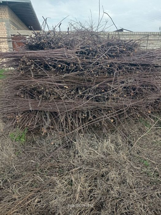 O'tin sotiladi vog'langan