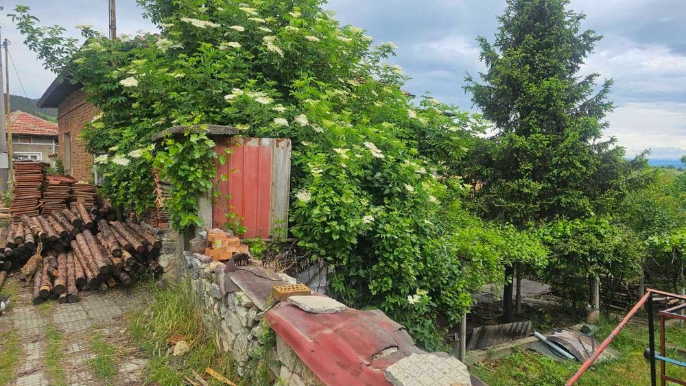 Недвижим имот - къща в село Дъбравите, обл.Пазарджик, община Белово