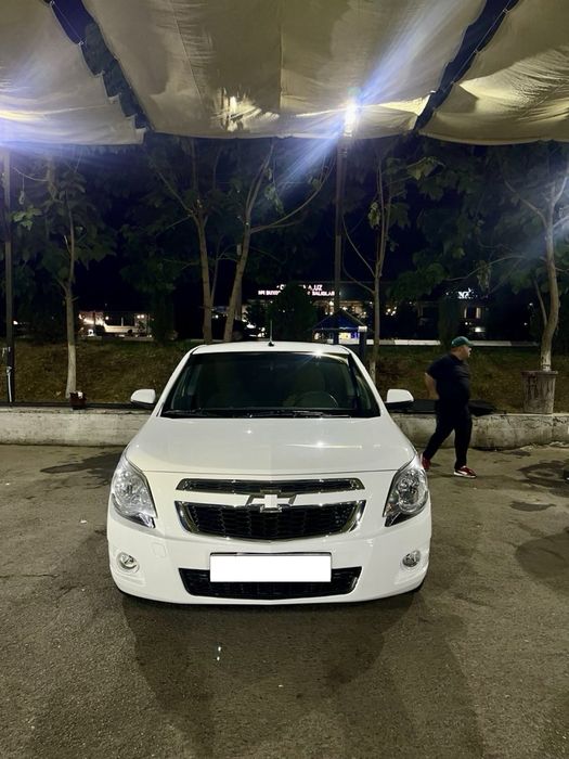 Oq Cobalt 2022 ideal