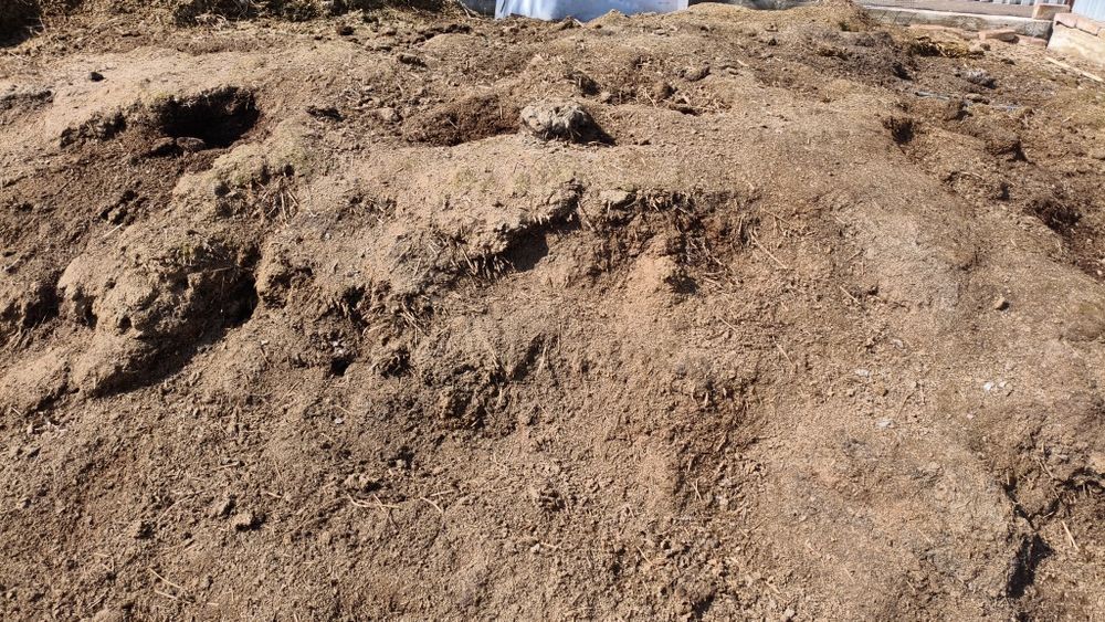 Коровий навоз Бесплатно самовывоз