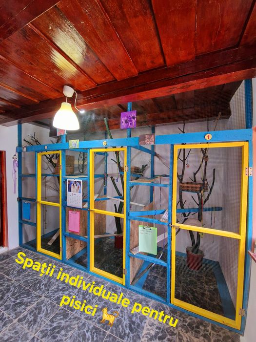 Cazare / Pensiune câini si animale de companie.