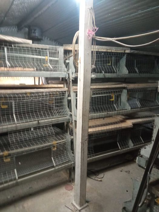 Клетка для птицы