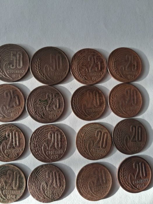 Български социалистически пари