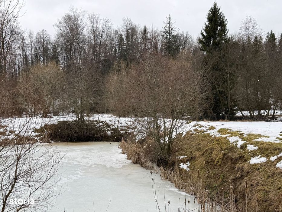 Teren extravilan | Horodnic De Sus | 3600MP