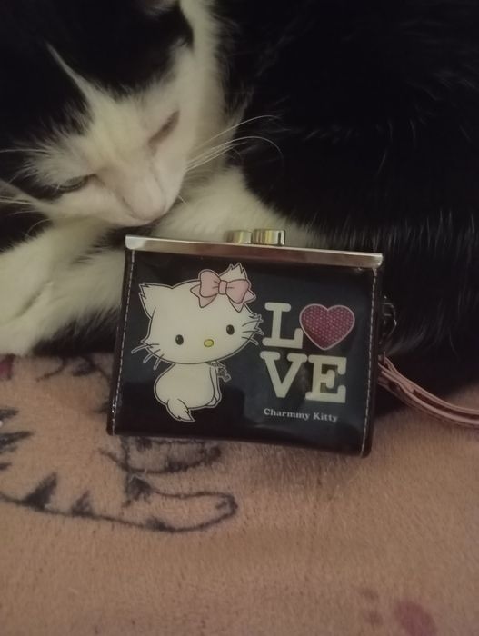 Portofel Charmmy Kitty de Colecție