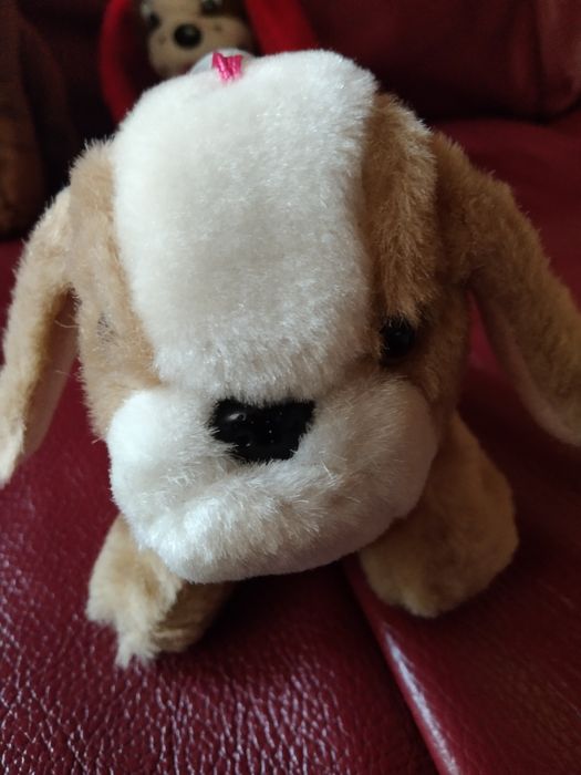 Мягкие игрушки в количестве 5 штук.