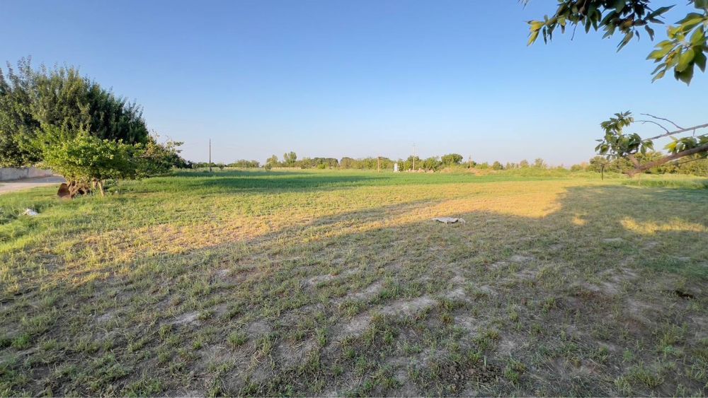 Ferma sotiladi 30 tonnalik marazelnik 10 000 ta broler boqishga joy bo