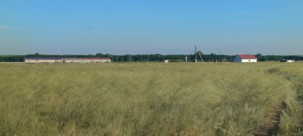 Крестьянское хозяйства