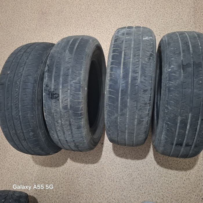 Баландар жаксы жагдайда