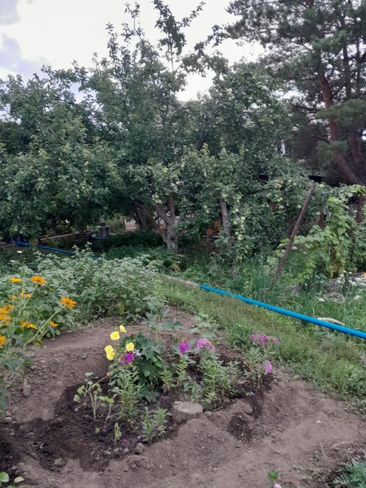 Продам дачу в обществе Парус