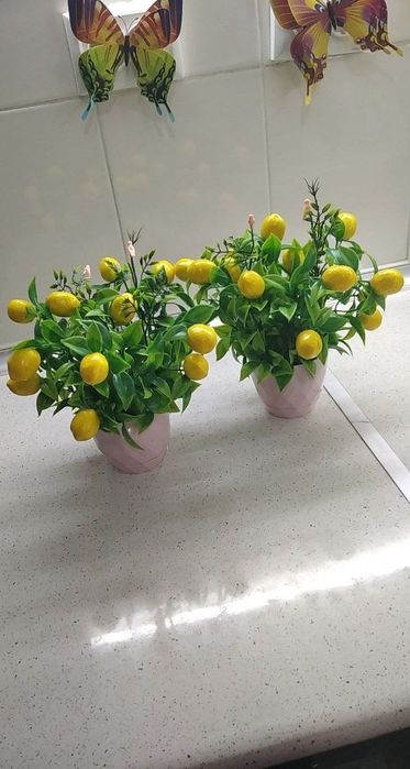 Uy, ofis, dokonlar uchun dekor gullar