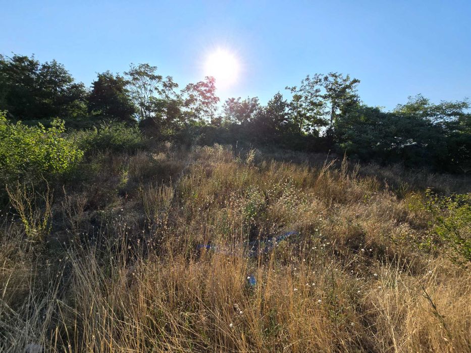 Продава се Парцел в Асеновград - 3880 кв.м за 19 €/кв.м - Снимка #7