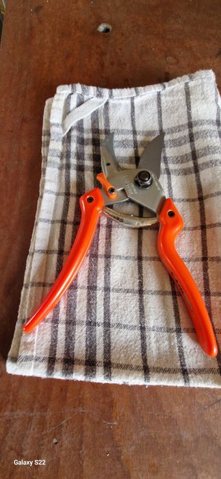 Foarfeca profesionala