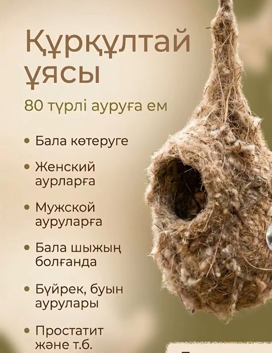 Куркылтай уясы бедеуликке таптырмас ем