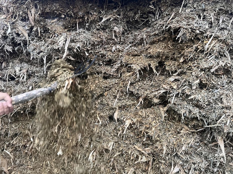 Силос сотилади. Арзон булади