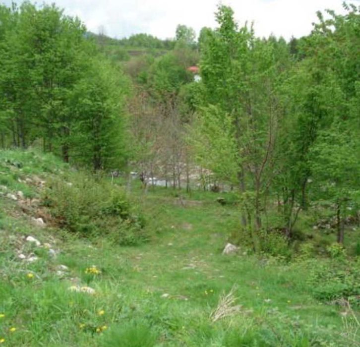 Продава се Парцел в с. Чифлик, Област Ловеч - 24175 кв.м за 14 €/кв.м - Снимка #1