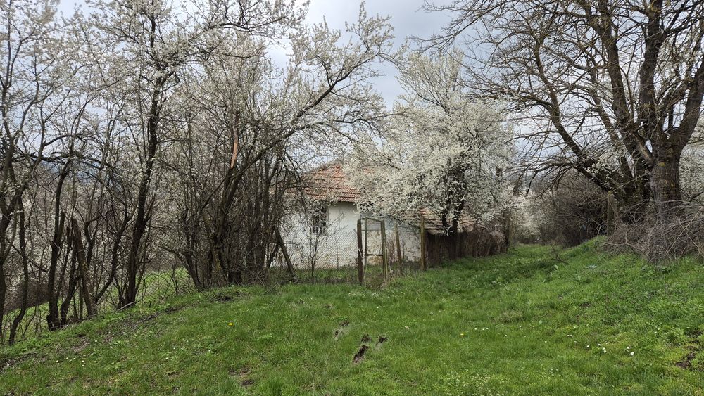 Къща в село Любичево