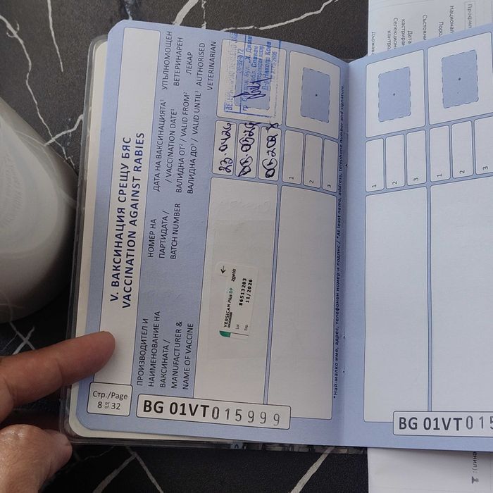 Hемска Oвчарска със чип и всички ваксини