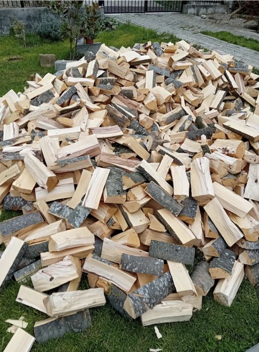 Vând lemne de foc esență tare de fag