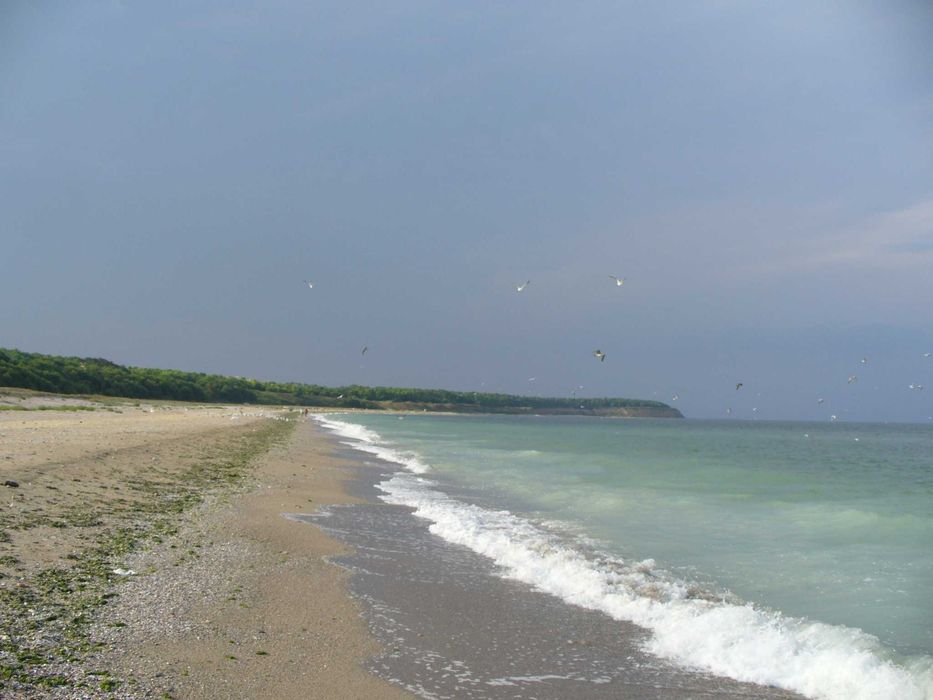 Продава се Парцел в с. Дуранкулак, Област Добрич - 20000 кв.м за 58 €/кв.м - Снимка #1