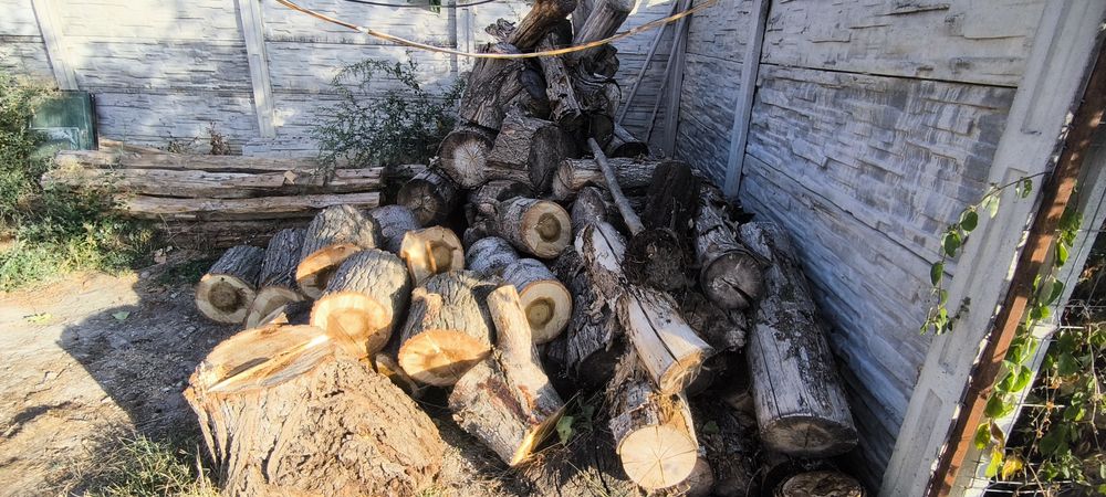 Lemne ieftine pentru iarna