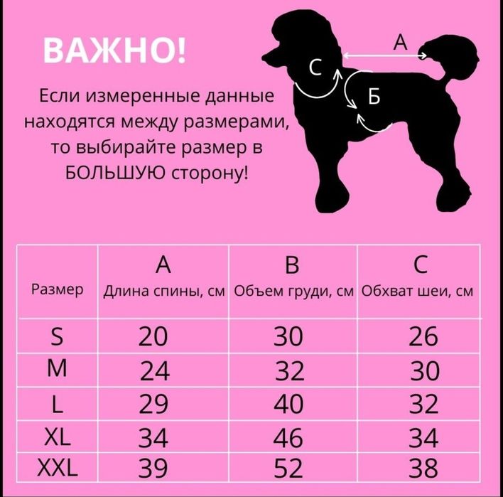 Одежда для собак.