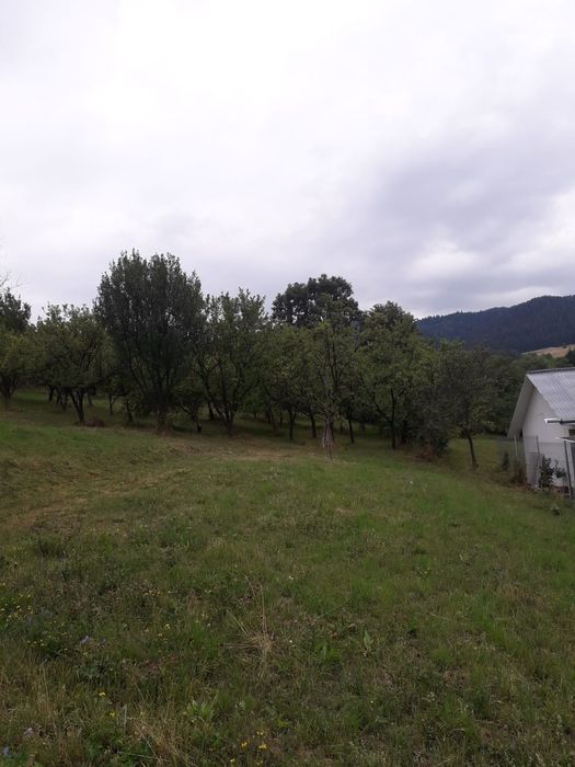 Teren intravilan Varatec, Neamț