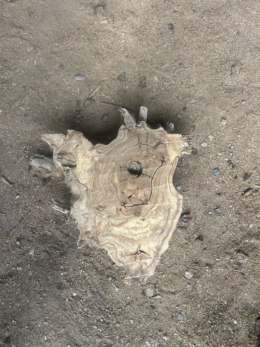 Спилы из дереаа карагач,слэб