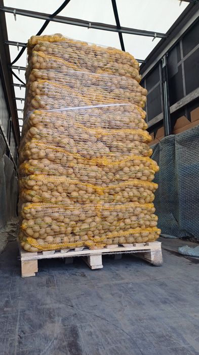 Vand cartof samanta alb si rosu